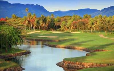 50th Fiji Open Championship this May