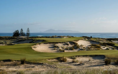 Kiwi Course beats Trump!