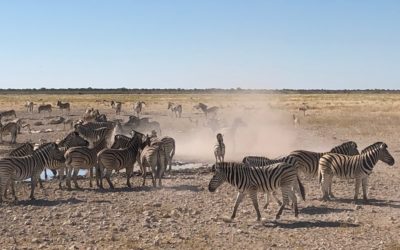 Journeying Through These Times Together