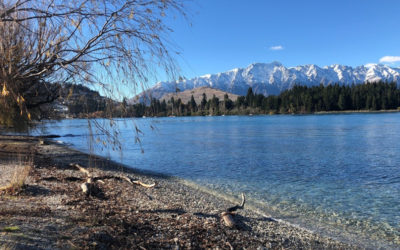 COMPLIMENTS OF THE SEASON!