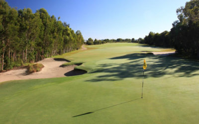 THE TRAVEL BUBBLE OPENS