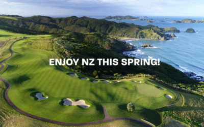 Enjoy NZ this Spring!