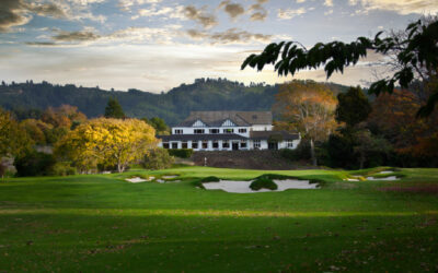 GETAWAY TO WELLINGTON